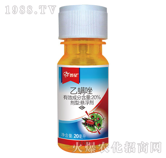 20����������-����