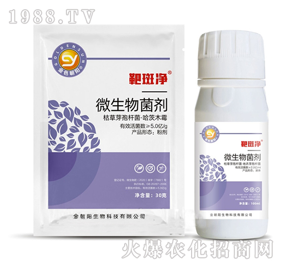 ΢�������-�а߃�-���