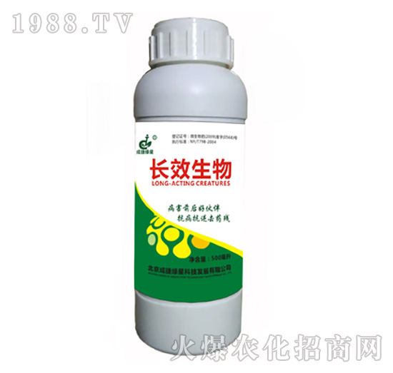 �LЧ����-�ɽݾG��