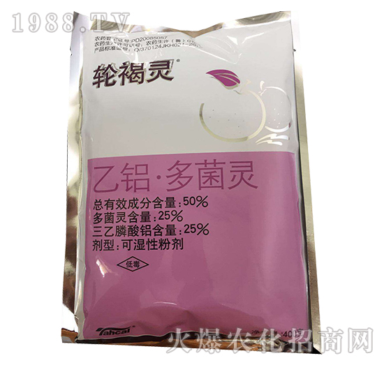 50%���X������`-݆���`-̩�̻���