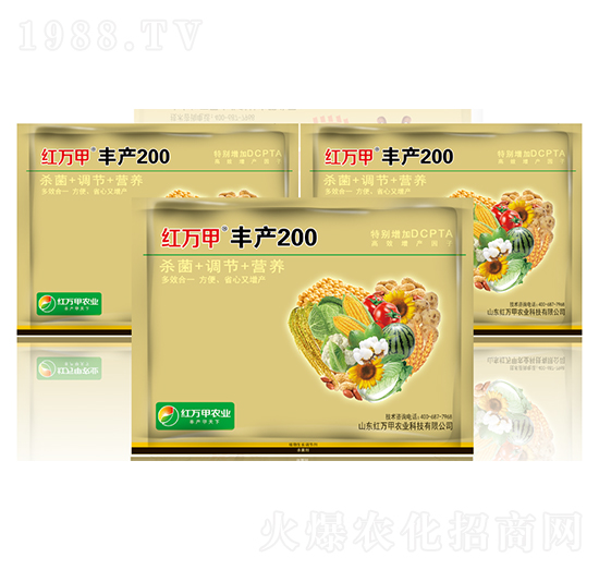 Sa(chn)200-tf