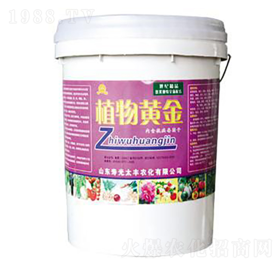 ֲ���S��-̫�S�r��