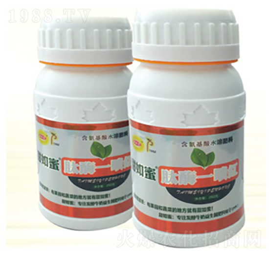 ��øһ���t-������