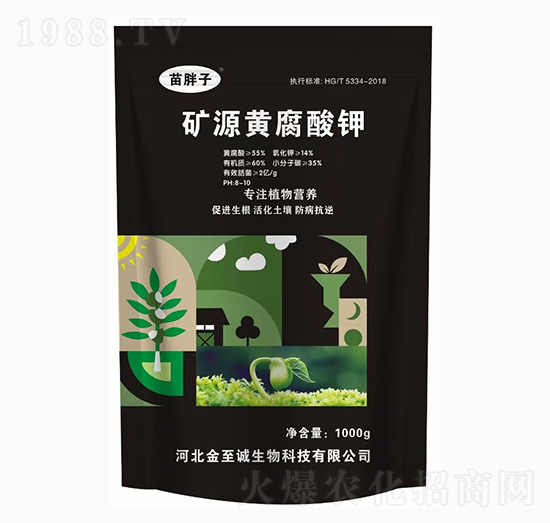 �VԴ�S�����-������-�����\