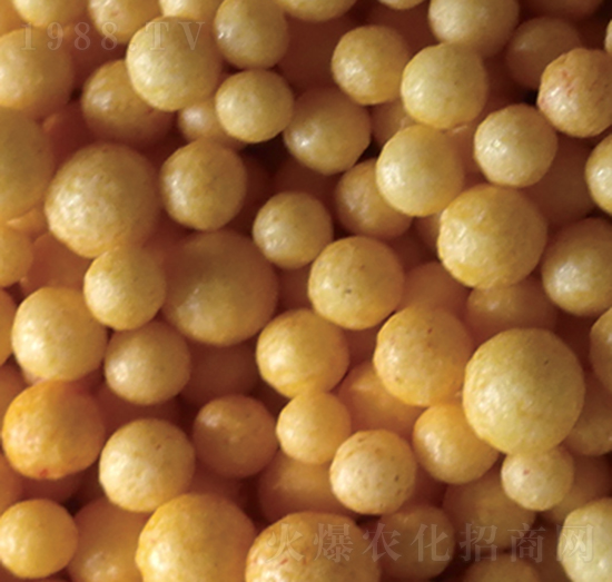 �۰�����Ĥ�����-�����S