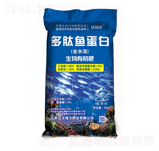 �����~����-�ָ���