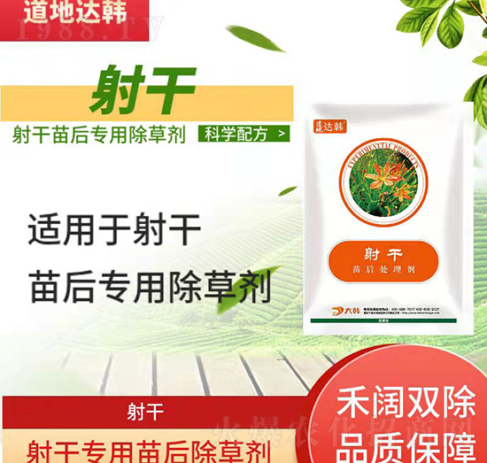 ɳ݄-Ɍ(zhun)án