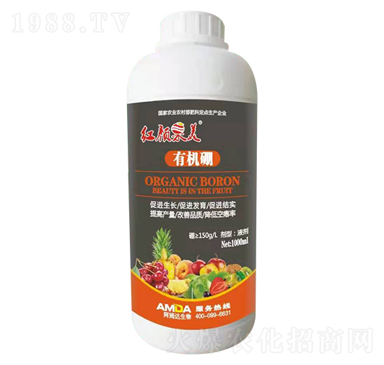 �ЙC��-�t���-��ķ�_