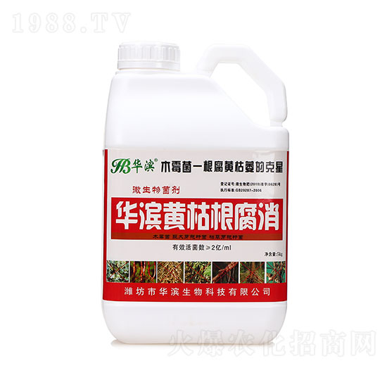 黃枯根腐消-華濱