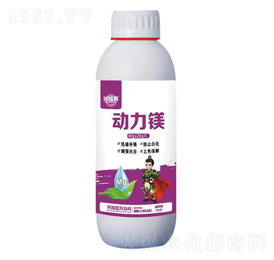 �����V �ڌ� �{(l��n)���r(n��ng)��