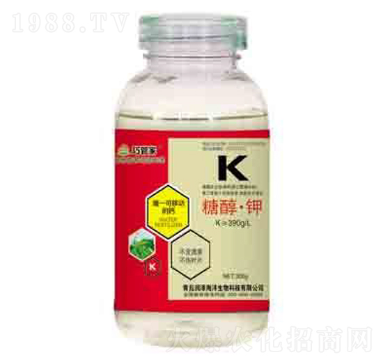 �Ǵ�� �ɹܼ� ����