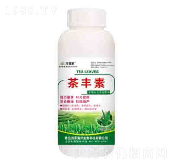 ���S�� �ɹܼ� ����