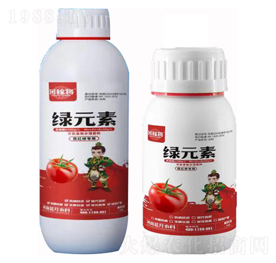 ���t�����þGԪ�� ��ڌ� �{���r��