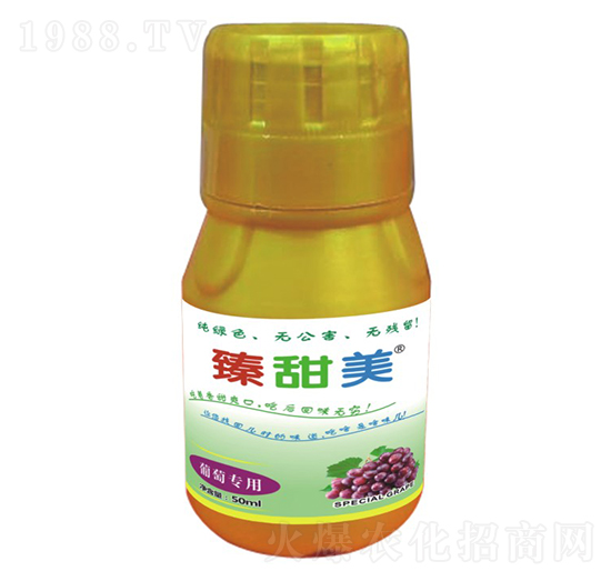 ���ь�(zhu��n)�� ������ ʢ����