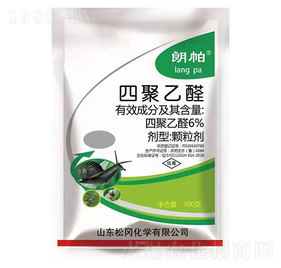 6%�ľ���ȩ ���� �Ɍ�