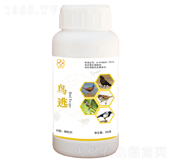 �B(ni��o)�� ������