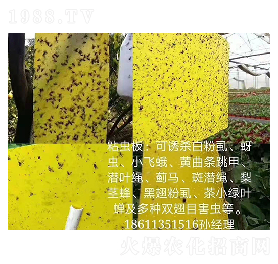 ճ�x�� ���r(n��ng)����