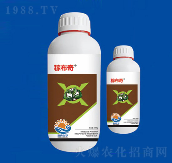 40%ϩ˪ ڲ ȽW(xu)1