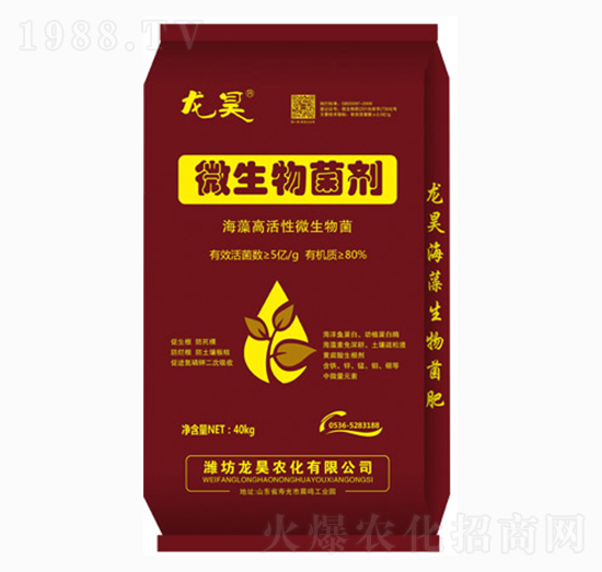 40kg΢�������-��껷ʘI(y��)