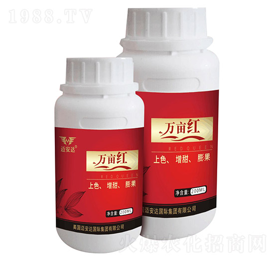 �f���t �~���_(d��)