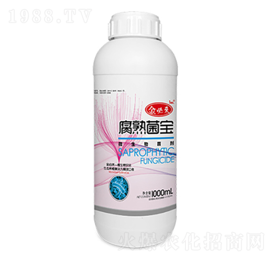 ΢�������-��؁��������-�����