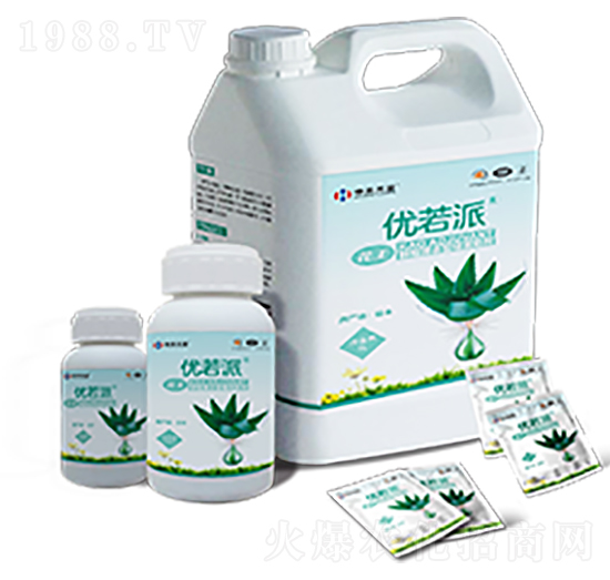 �r(n��ng)�Ç��F����-��(y��u)����-�к����