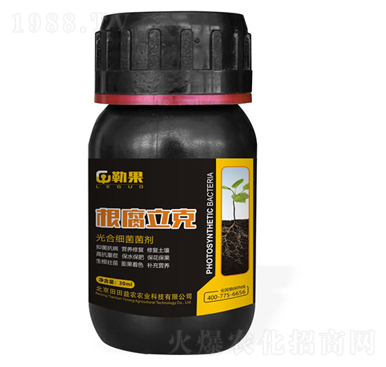 ��ϼ�������-��������-�չ�-�������r