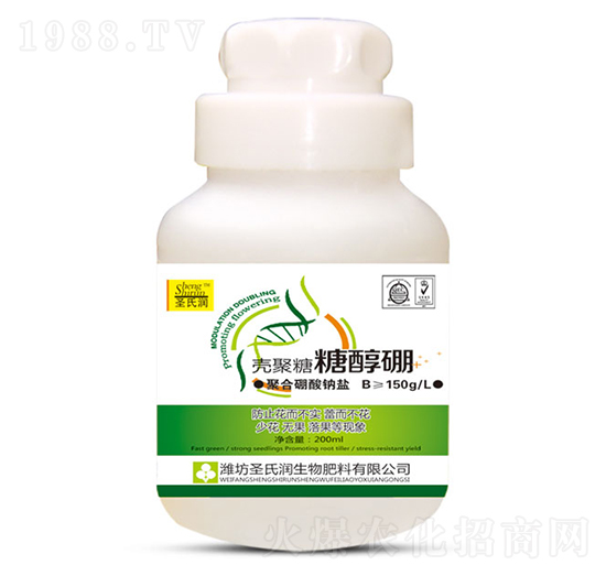 �������Ǵ���-ʥ�ϝ�