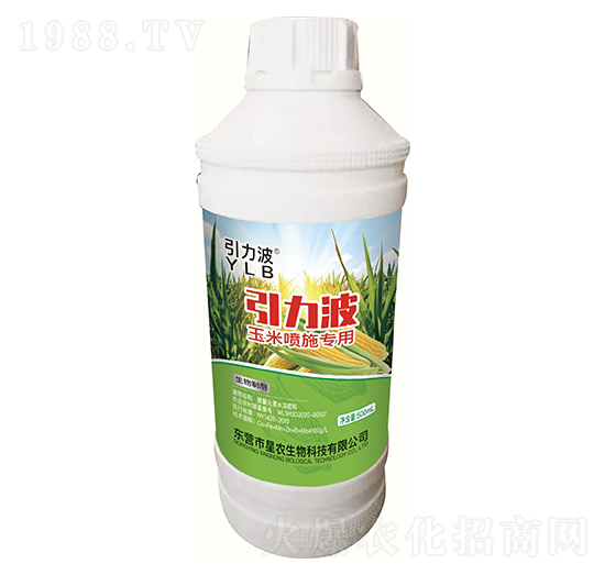 ���ׇ�ʩ���������Ƅ�-������-���r����