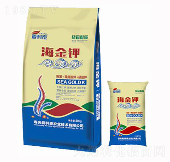 ����⛣��M�ϣ�-��(��i)��̩