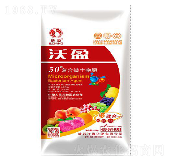 50��ͺ�΢�����-��ӯ����