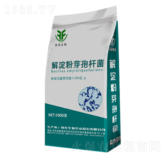 �����ѿ�ߗU��