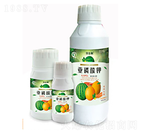 ����Á������-���л���