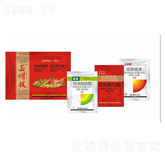 �|����-��ِ��