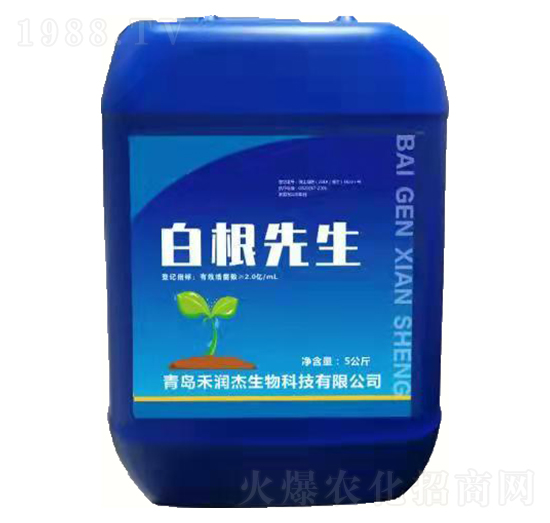 �׸�����-�̝���