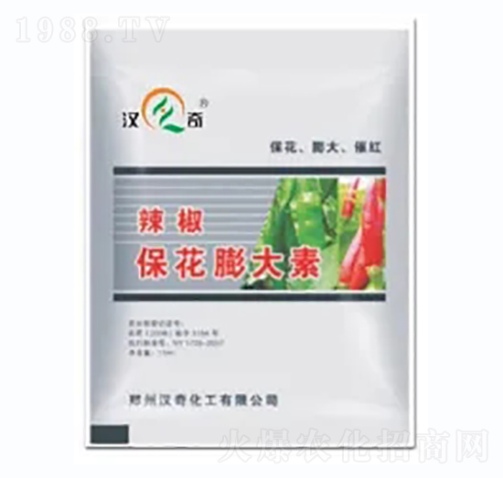 -h滯
