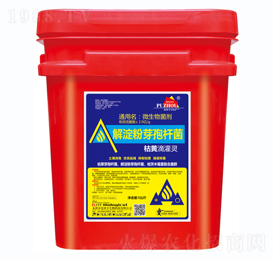 ���S�ι��`-�����S