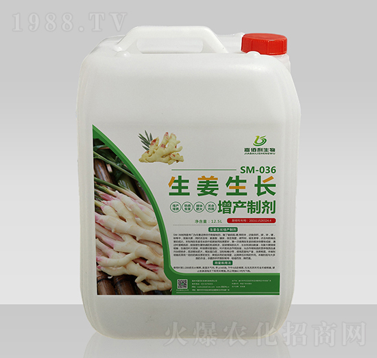 SM-036生姜生長(zhǎng)增產(chǎn)制劑-嘉佰利生物
