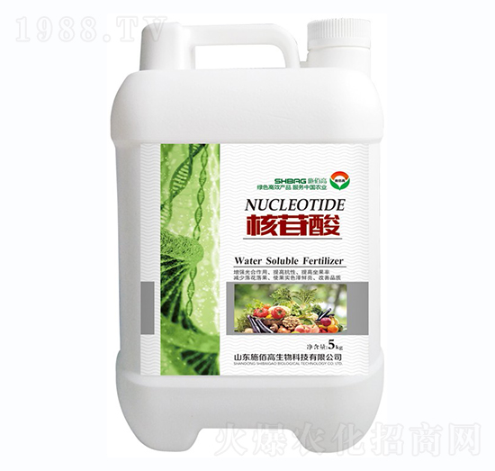 ������-ʩ�۸�