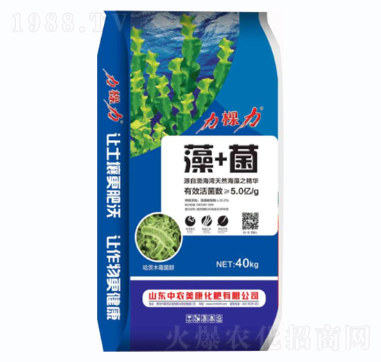 ��+��-������-���r(n��ng)����