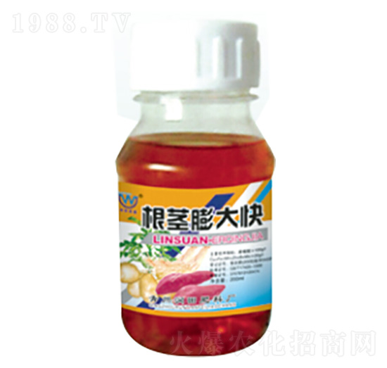 根莖膨大快-潤(rùn)田肥料