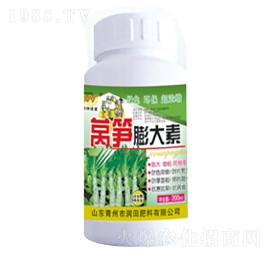 萵筍膨大素-潤田肥料