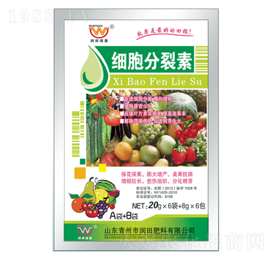 ��(x��)��������A+B-�������