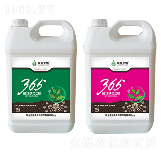365(xin)2̖(ho)-ں