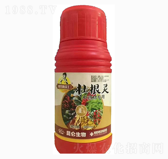 中藥材壯根靈-愛普達(dá)