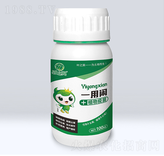 ֲ������-һ���e-�~֮��