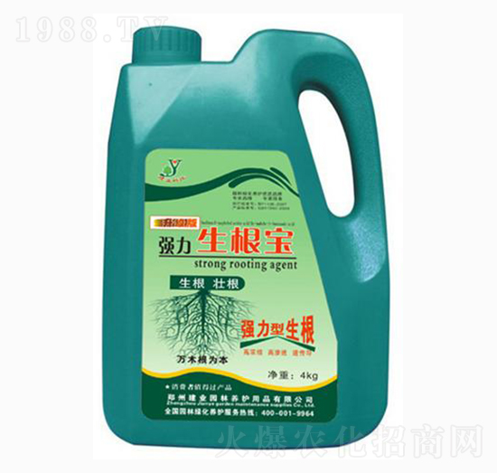 ��(qi��ng)��������-���I(y��)