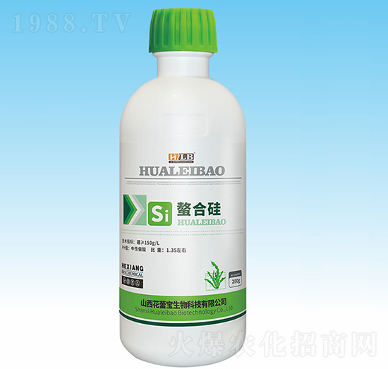 ���Ϲ�-���ٌ�����