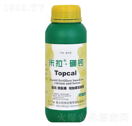 ���������}-����܎���r(n��ng)�I(y��)