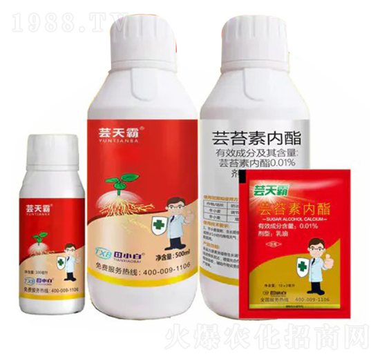 �|̦�؃���-�|���-��С��